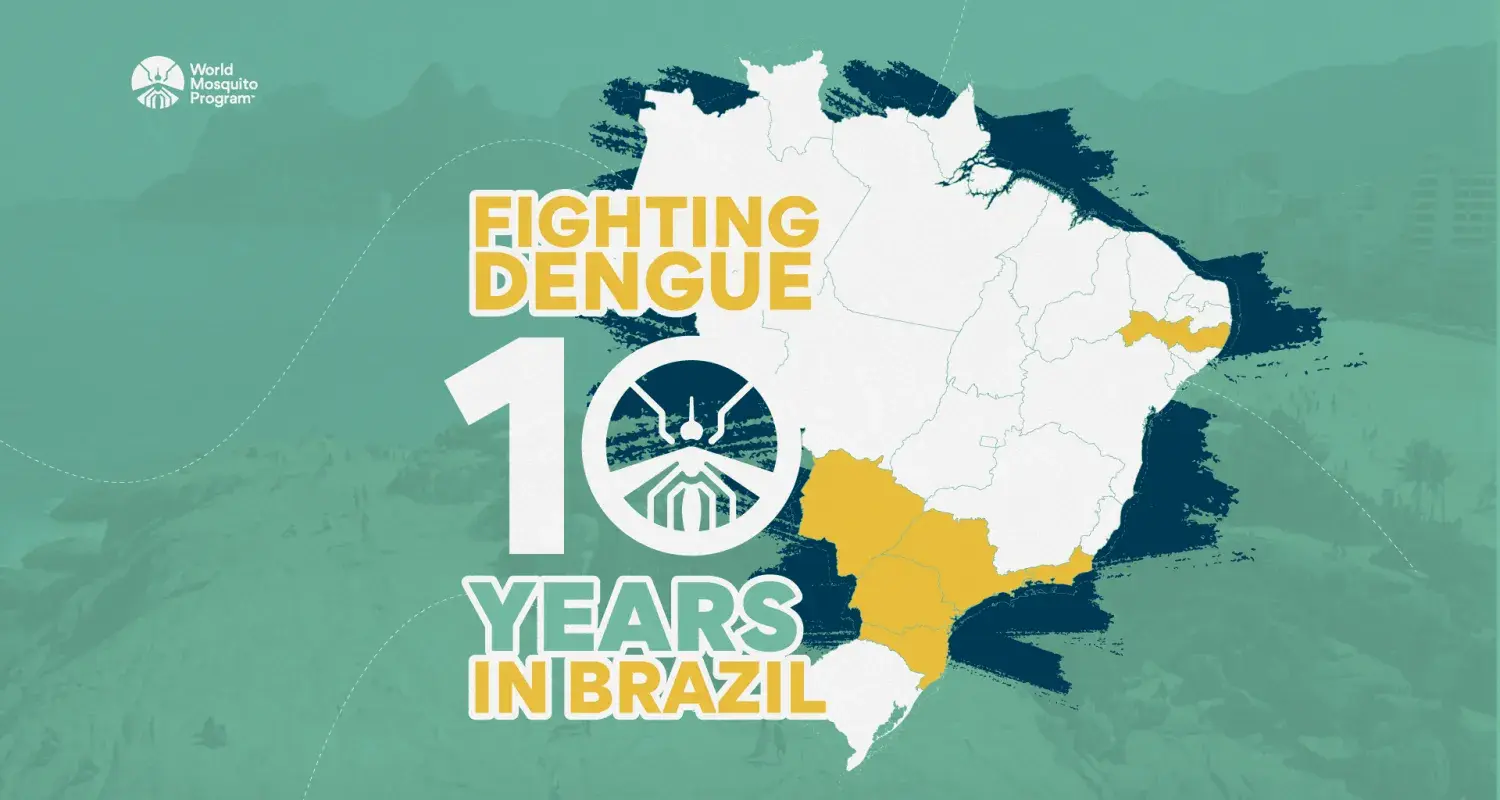 10 years of fighting dengue in Brazil | World Mosquito Program
