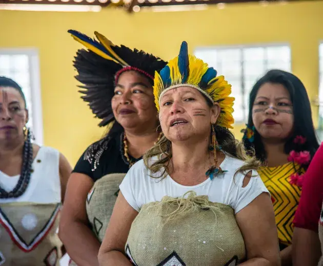 Indigenous Community _ Brazil