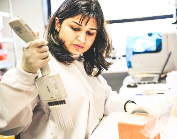 WMP staff in the lab in Melbourne