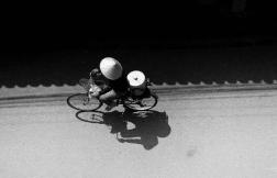 The southern frontier – confronting dengue in the south of Vietnam