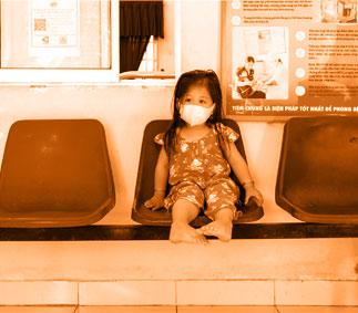 The <i>Wolbachia</i> method can fight yellow fever The <i>Wolbachia</i> method can fight yellow fever