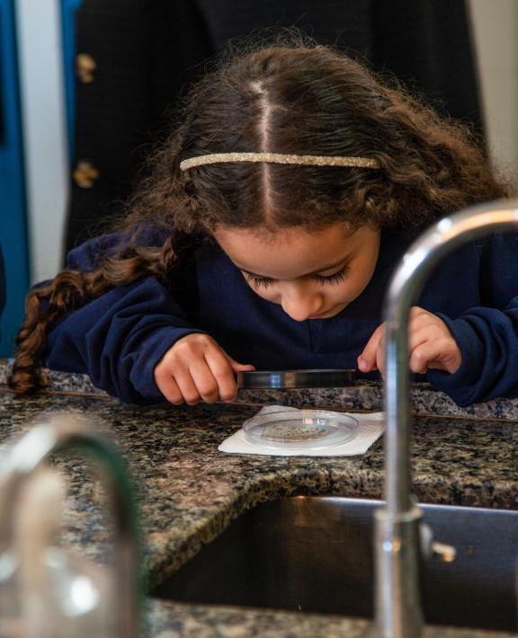 Community progress in WMP Brazil