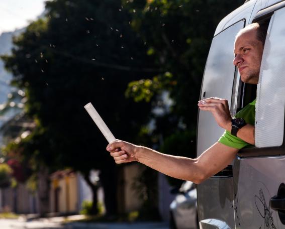 WMP releases mosquito in the field